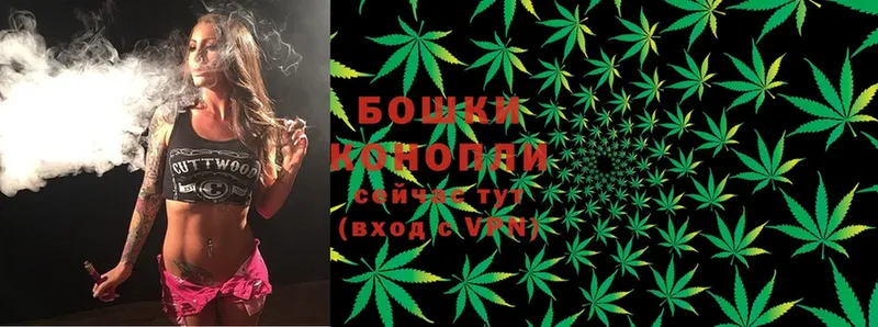 что такое наркотик  Александровск  Канабис Ganja 